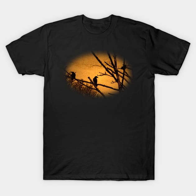 Crows T-Shirt by freeboot